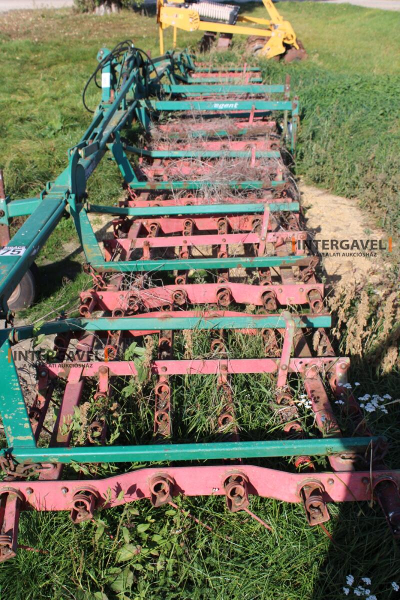 Gyomfésű - Regent 5