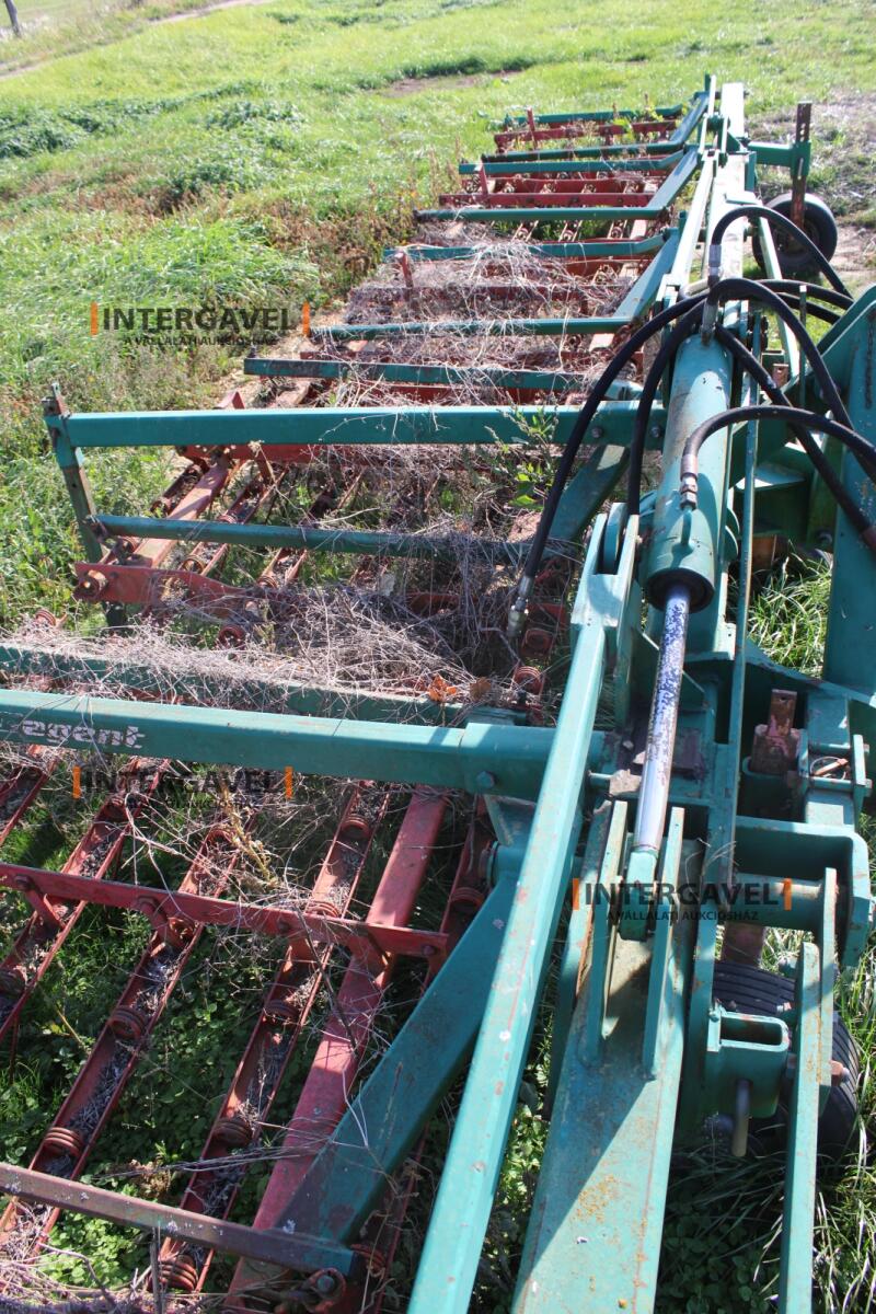 Gyomfésű - Regent 13