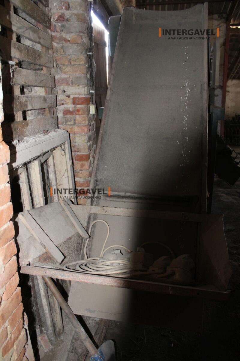 Burgonya szortírozó - Compas 4