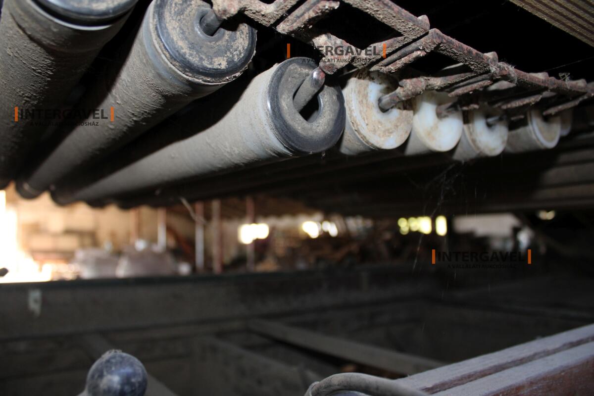 Burgonya szortírozó - Compas 13