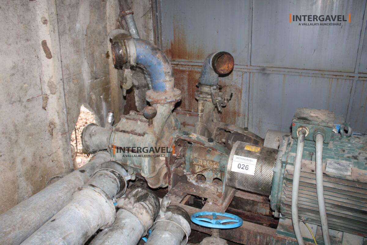 Szivattyú - Caprari