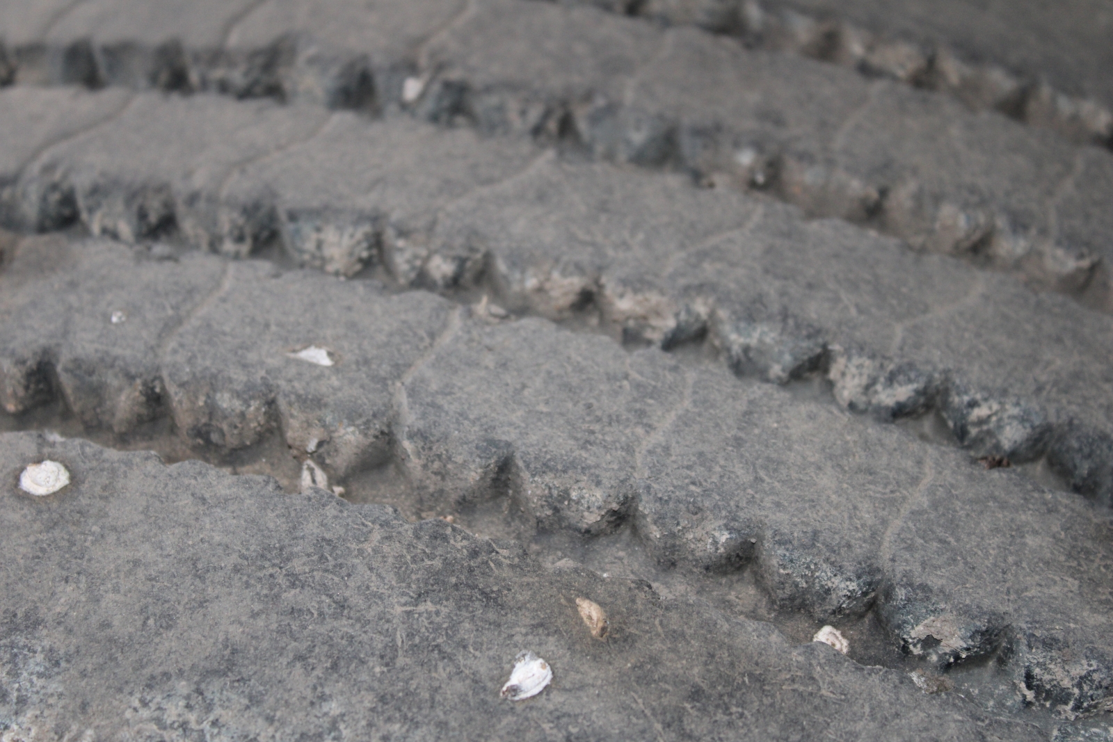 Pótkocsi - Panav 16